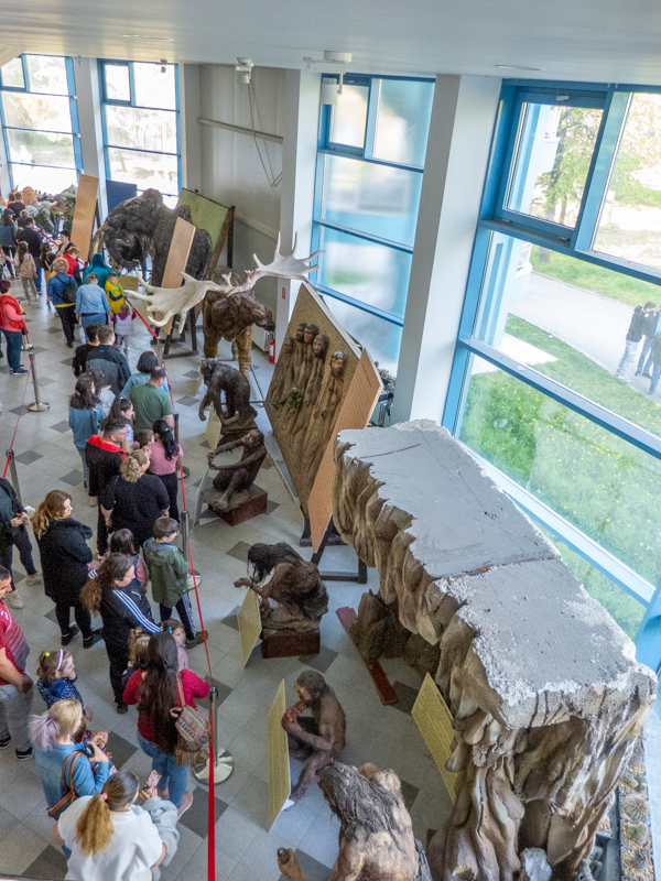 exhibit hall on the ground floor