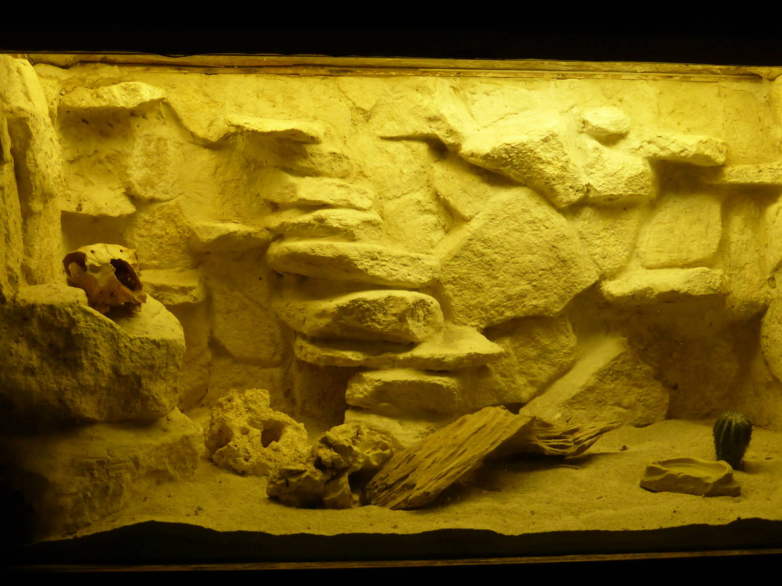 Exhibit in 'Arachnoland' .