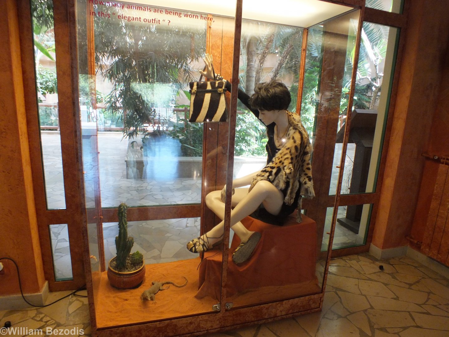 Exhibit in new display "How Many Animals are being Worn Here in this "Elegant Outfit"?"