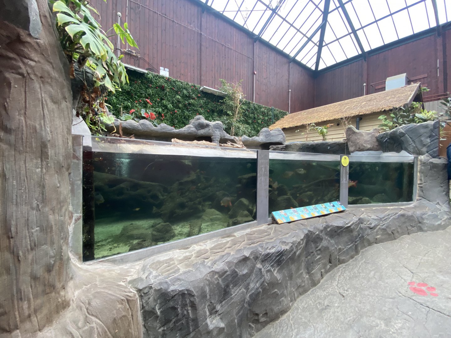 Exhibit in Rajang's Forest 140921