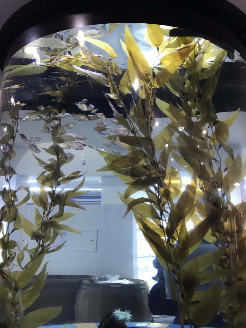 Exhibit in shop 260519