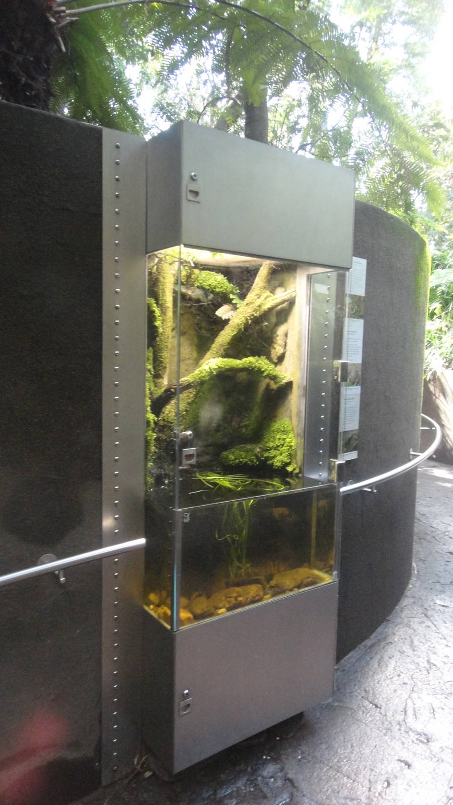 Exhibit in the Forest Gallery