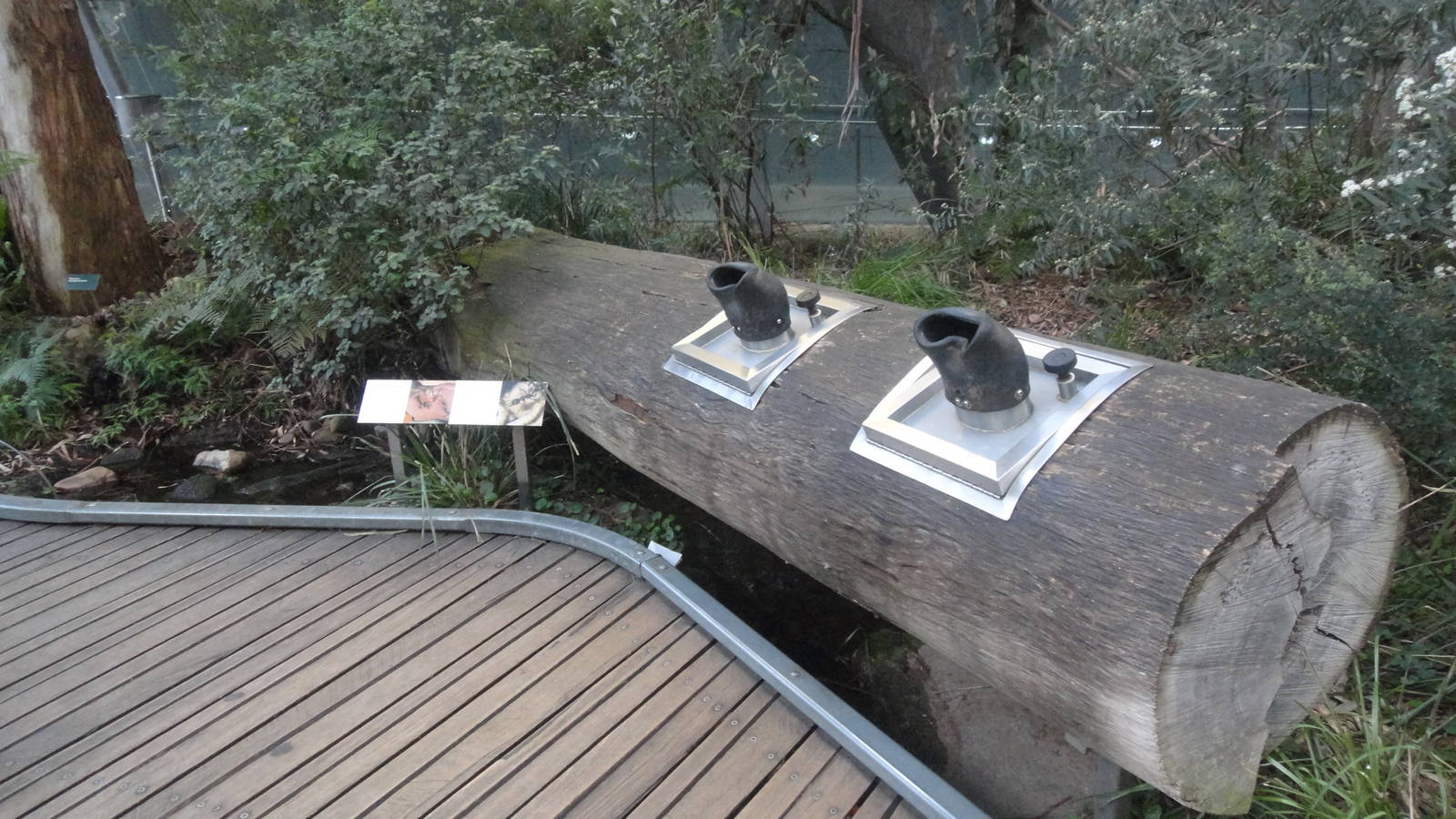 Exhibit in the Forest Gallery