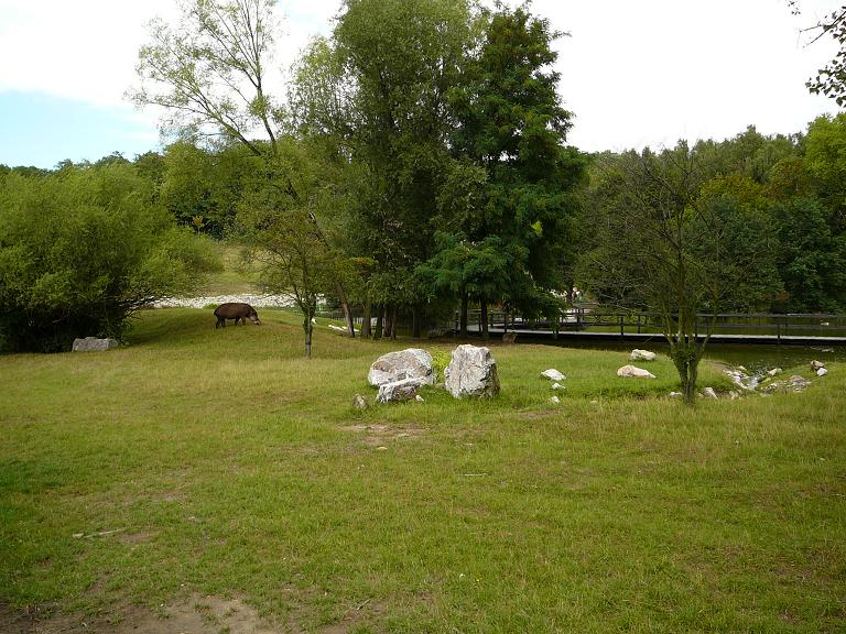 Exhibit of animals from South America.