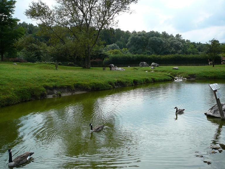 Exhibit of animals from South America.