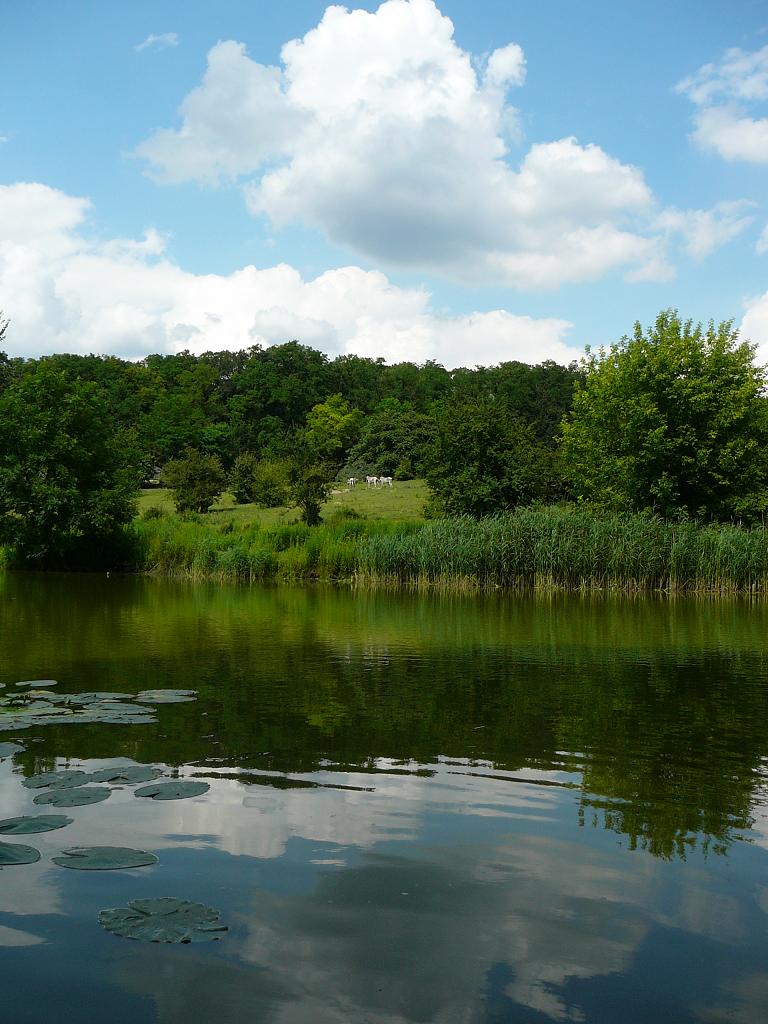 Exhibit of animals of Africa