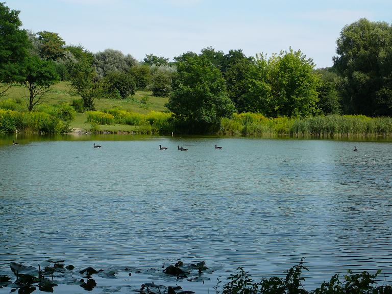 Exhibit of animals of Africa