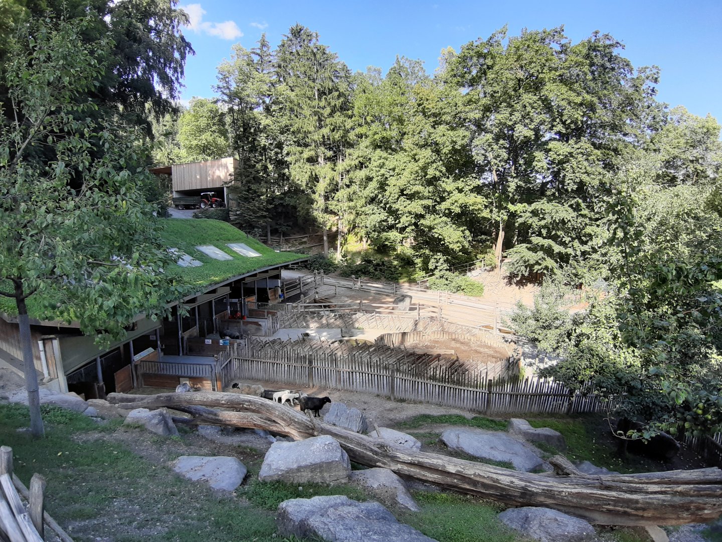 Exhibit of domestic animals