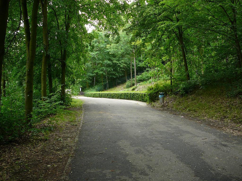 Exhibit of Japanese macaques