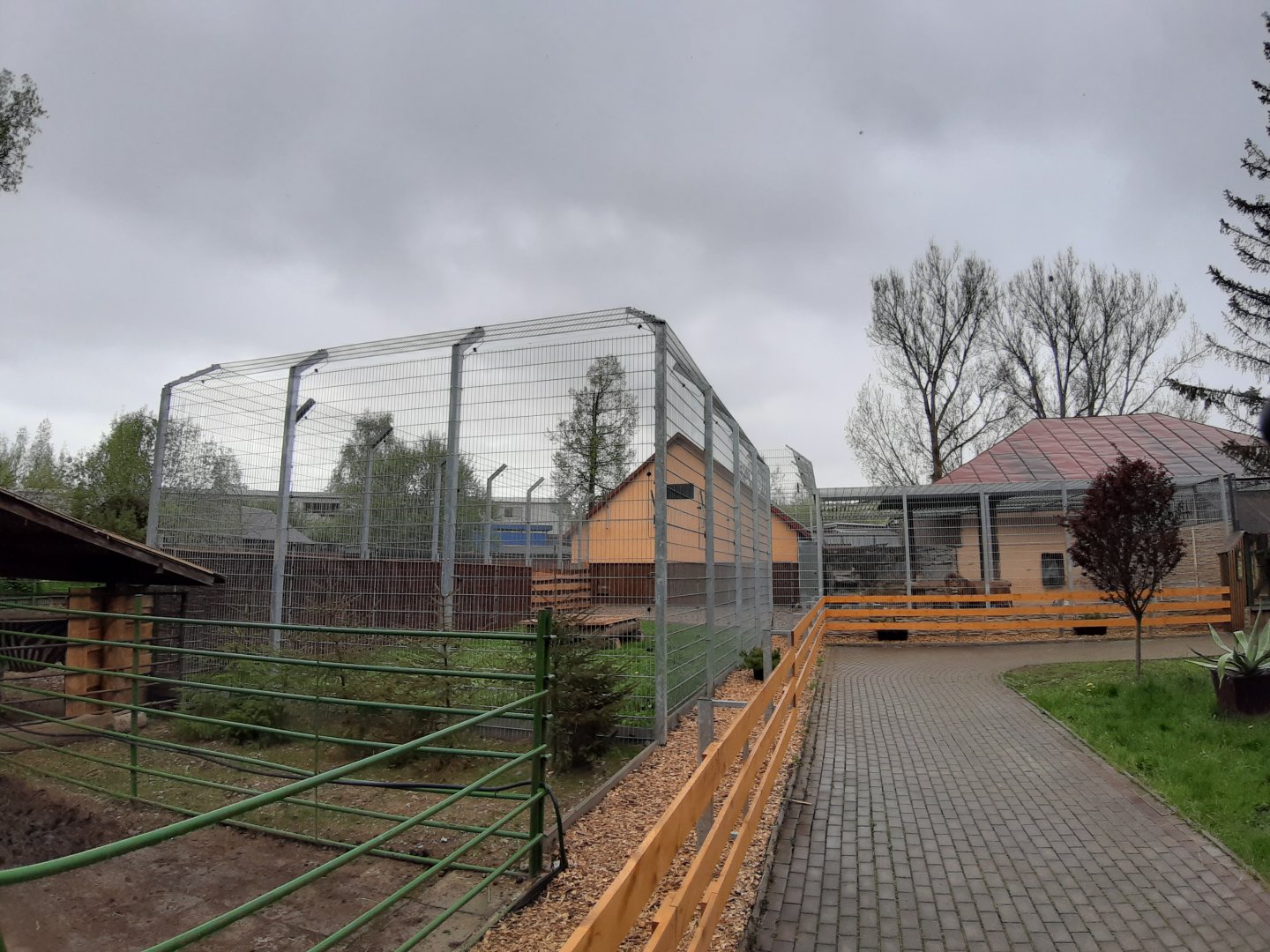 Exhibit of lions and pumas