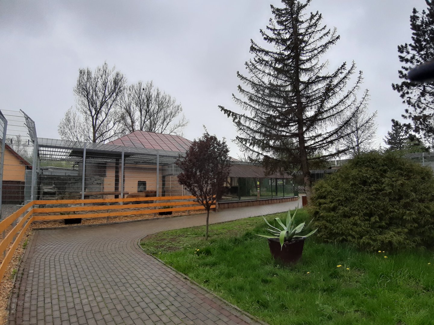 Exhibit of lions and pumas