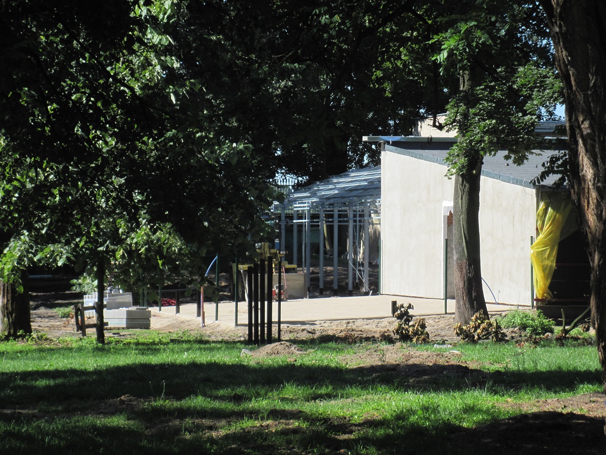 Exhibit of okapis and red river hogs - construction site