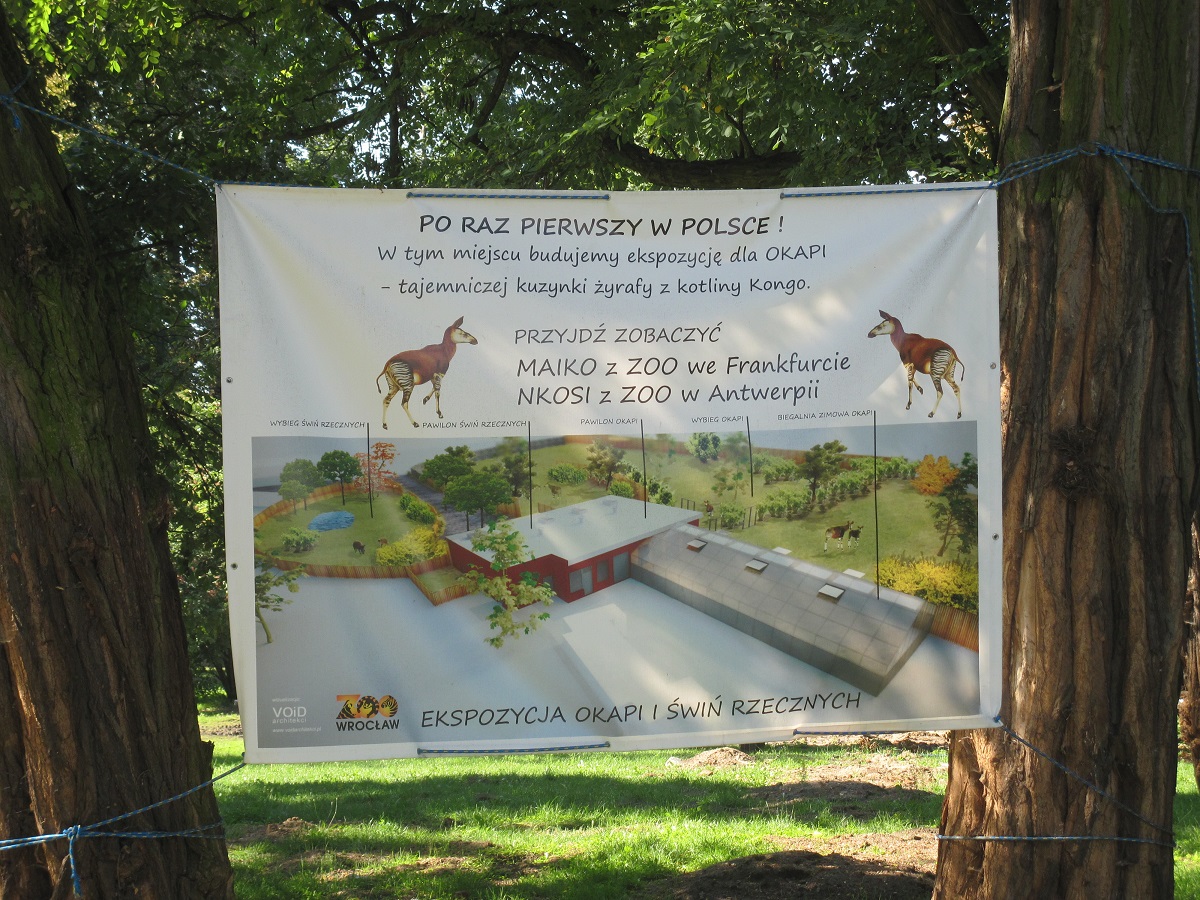 Exhibit of okapis and red river hogs - construction site