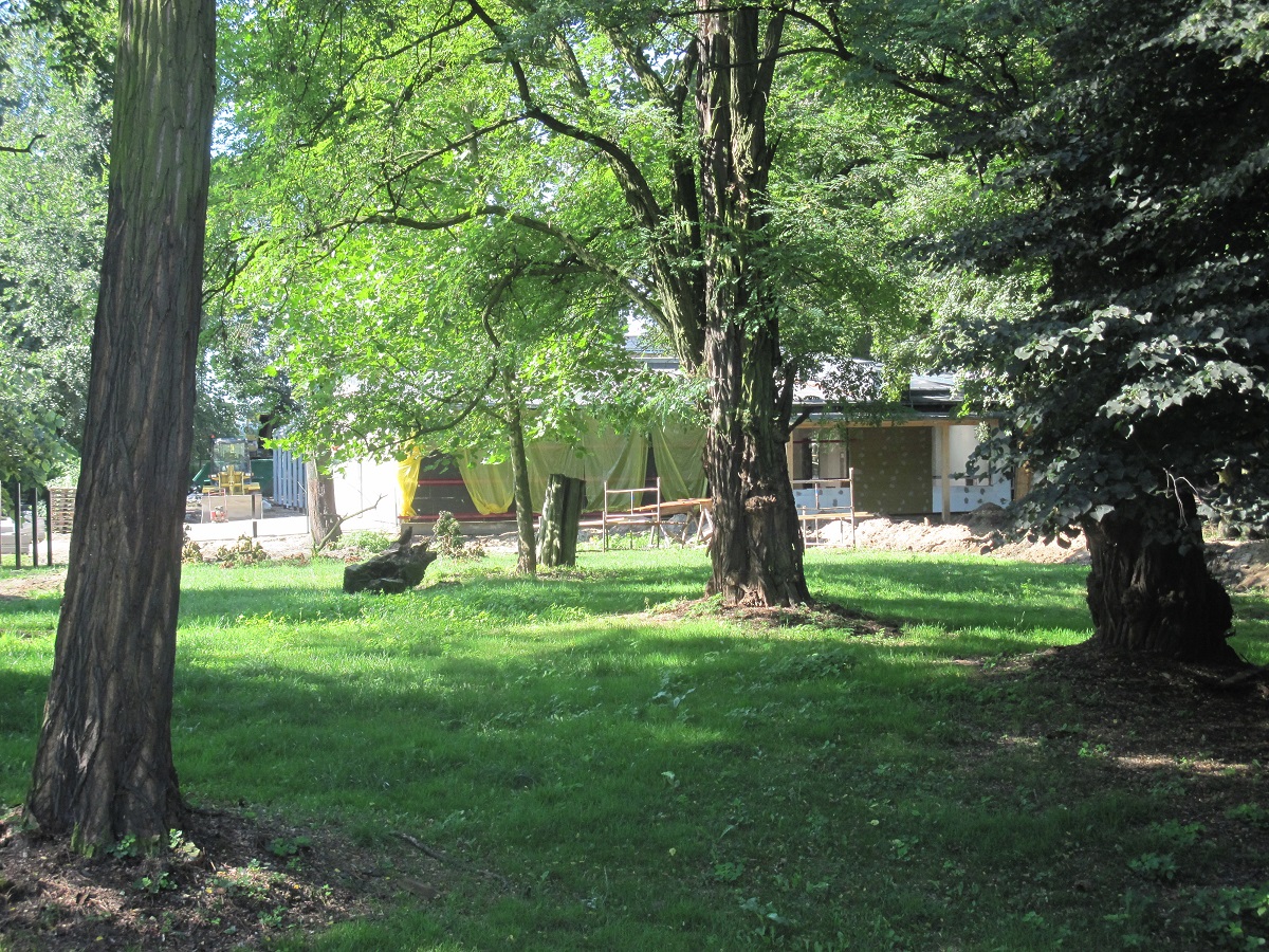 Exhibit of okapis and red river hogs - construction site