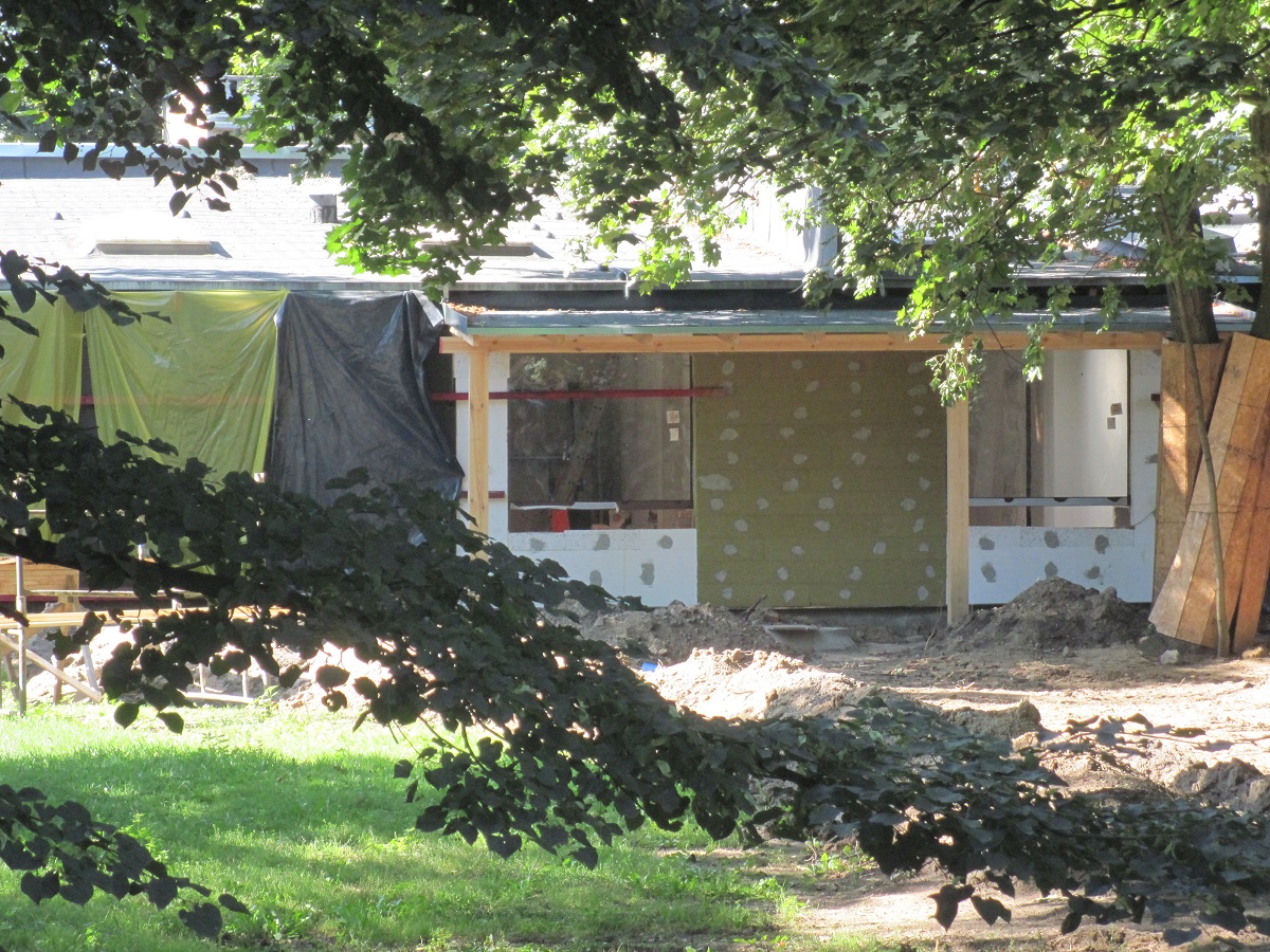 Exhibit of okapis and red river hogs - construction site