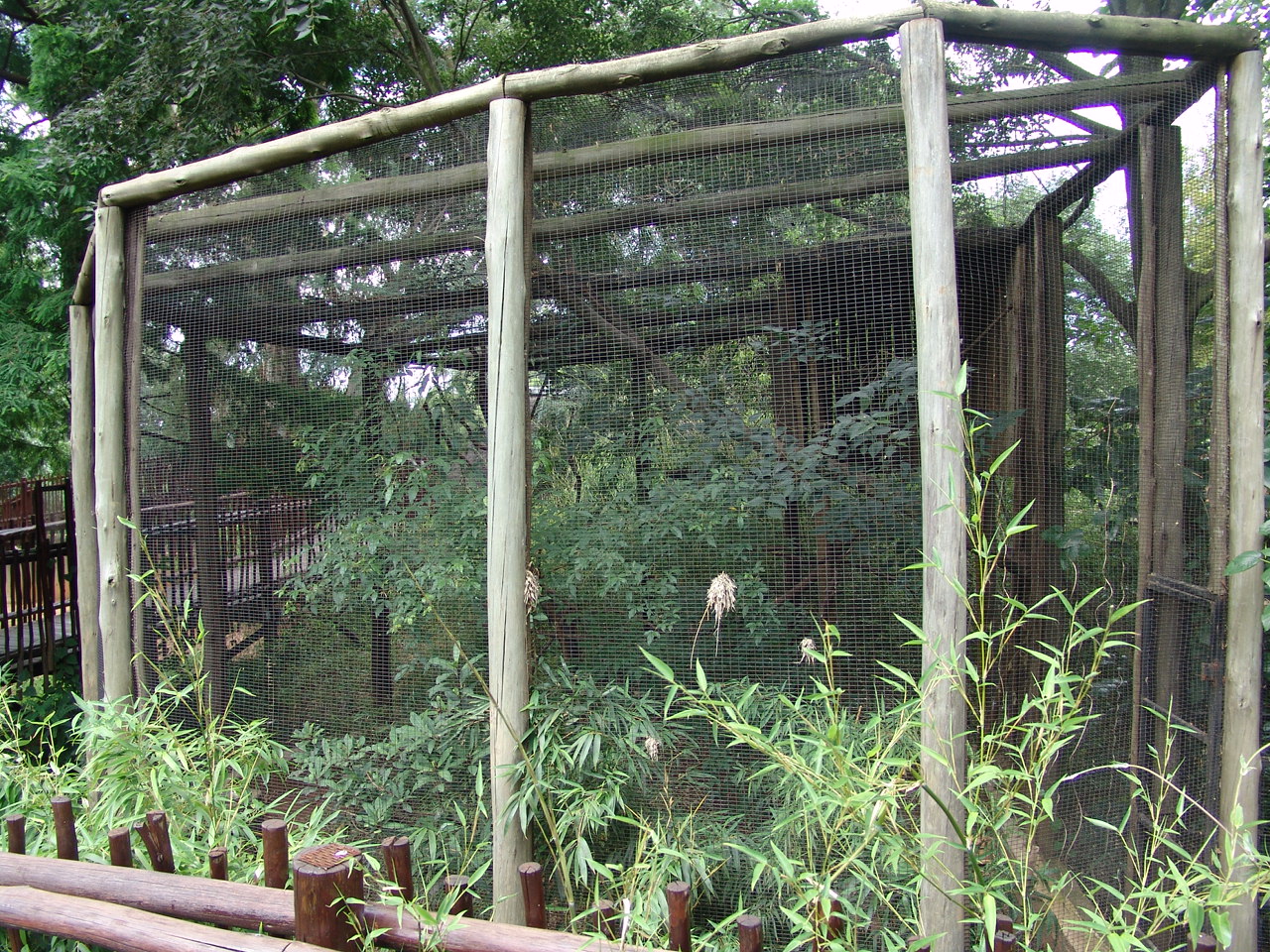 Exhibit of the Southern Yellow-billed Hornbills (Tockus leucomelas) and Ken