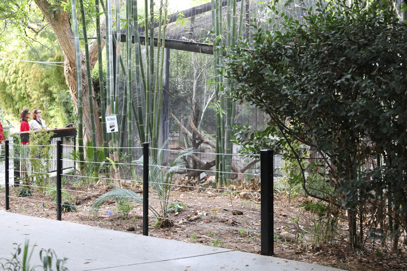 exhibit refurbished for red panda