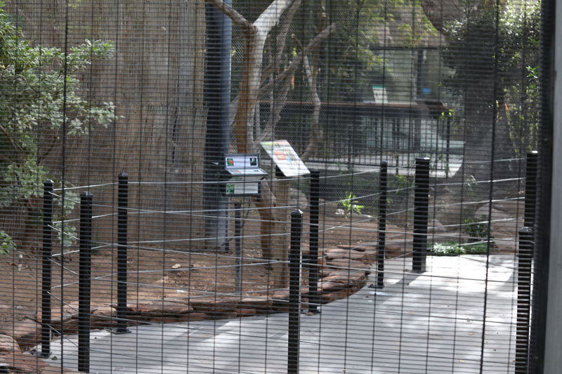 exhibit refurbished for red panda