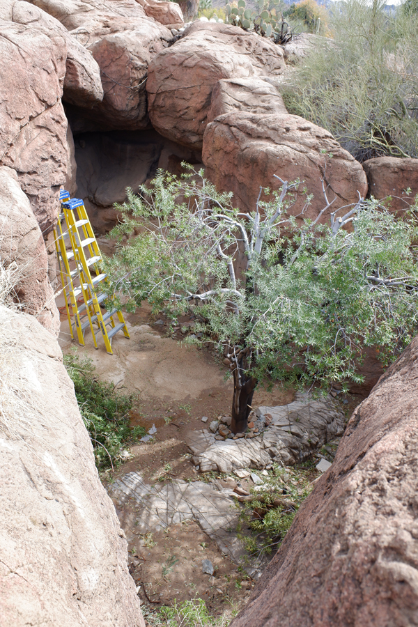 exhibit renovation (former fox)