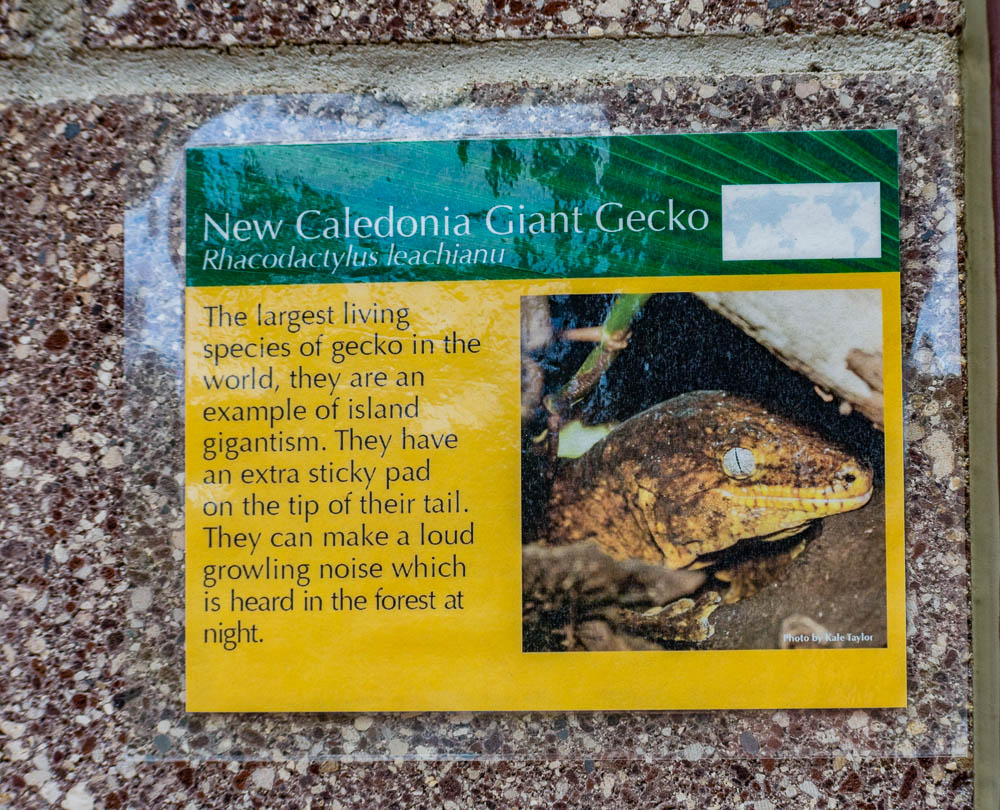 Exhibit sign