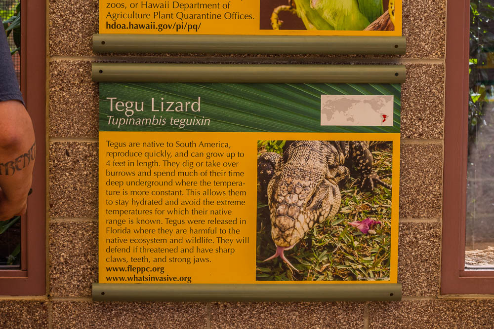 Exhibit sign