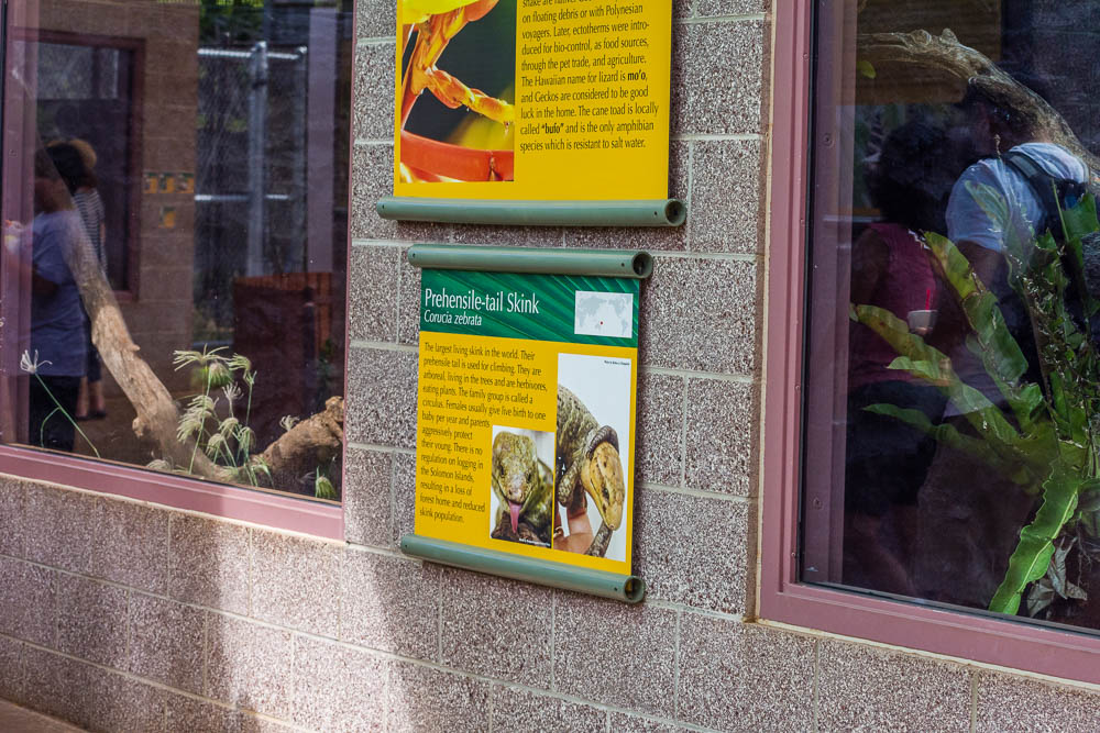 Exhibit sign