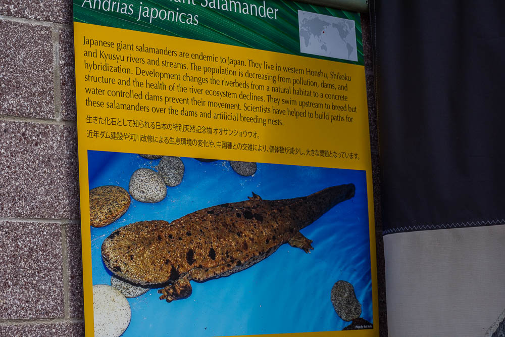 Exhibit sign