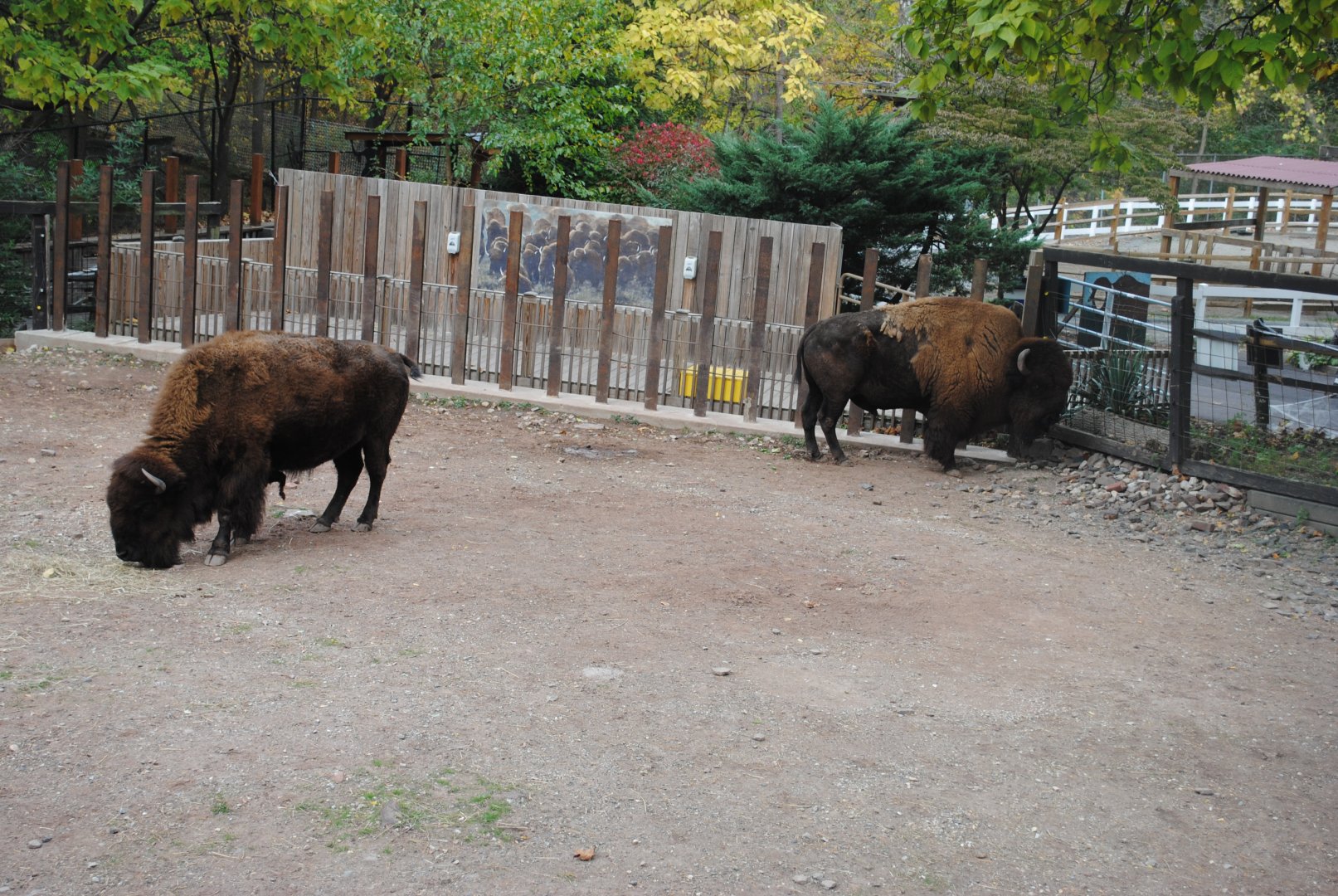 Exhibit View from the Union Pacfic Railroad Car