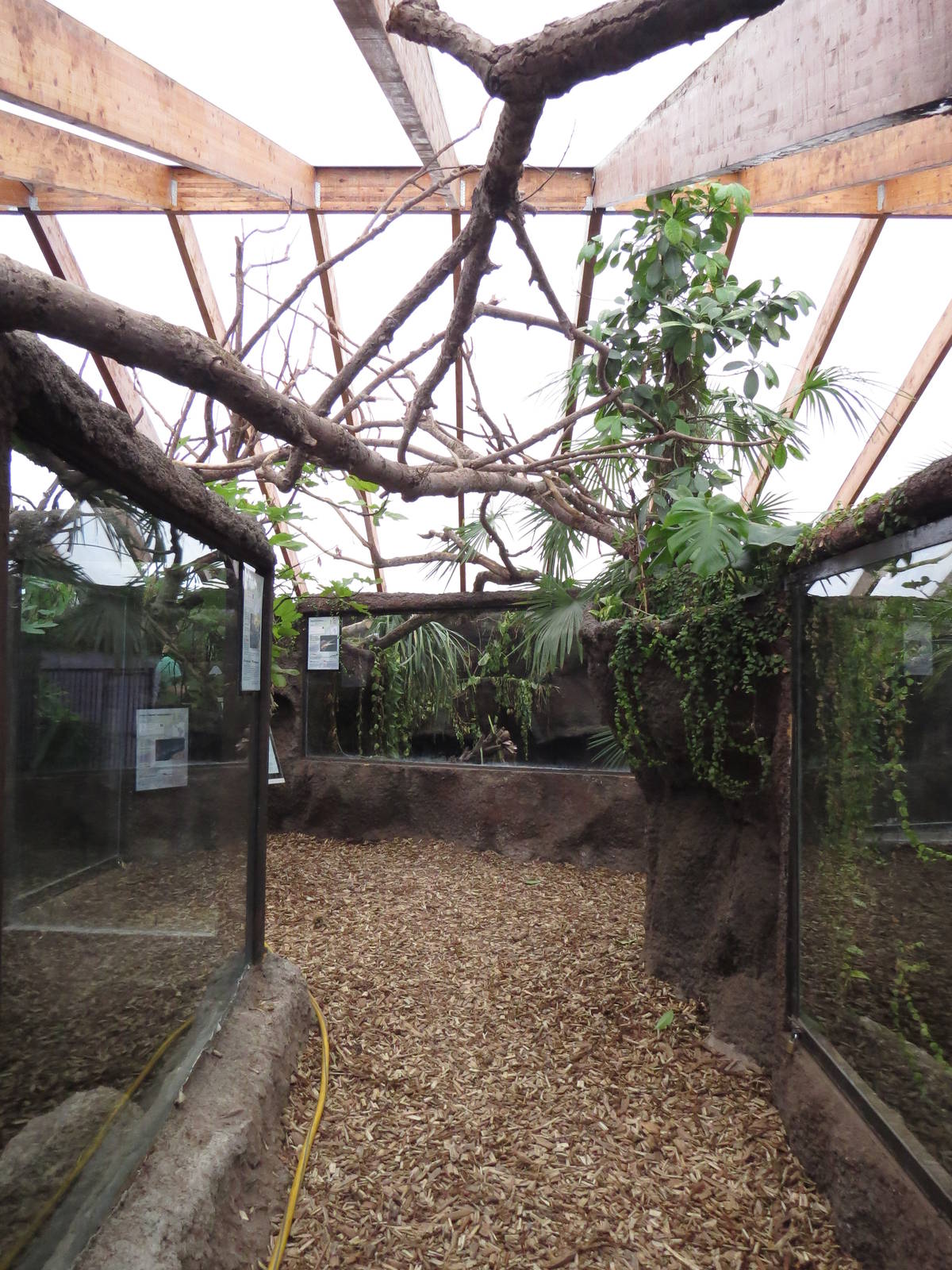 Exhibit viewing areas, June 2015.