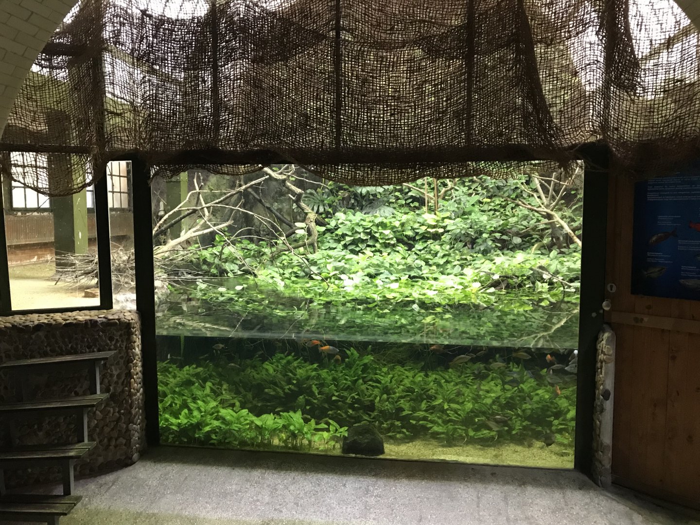 Exhibit within Australia section 171018