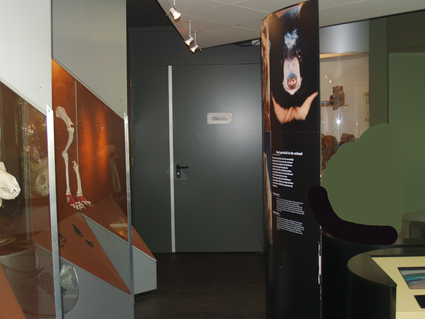 Exhibition about bears, 2006-07-08