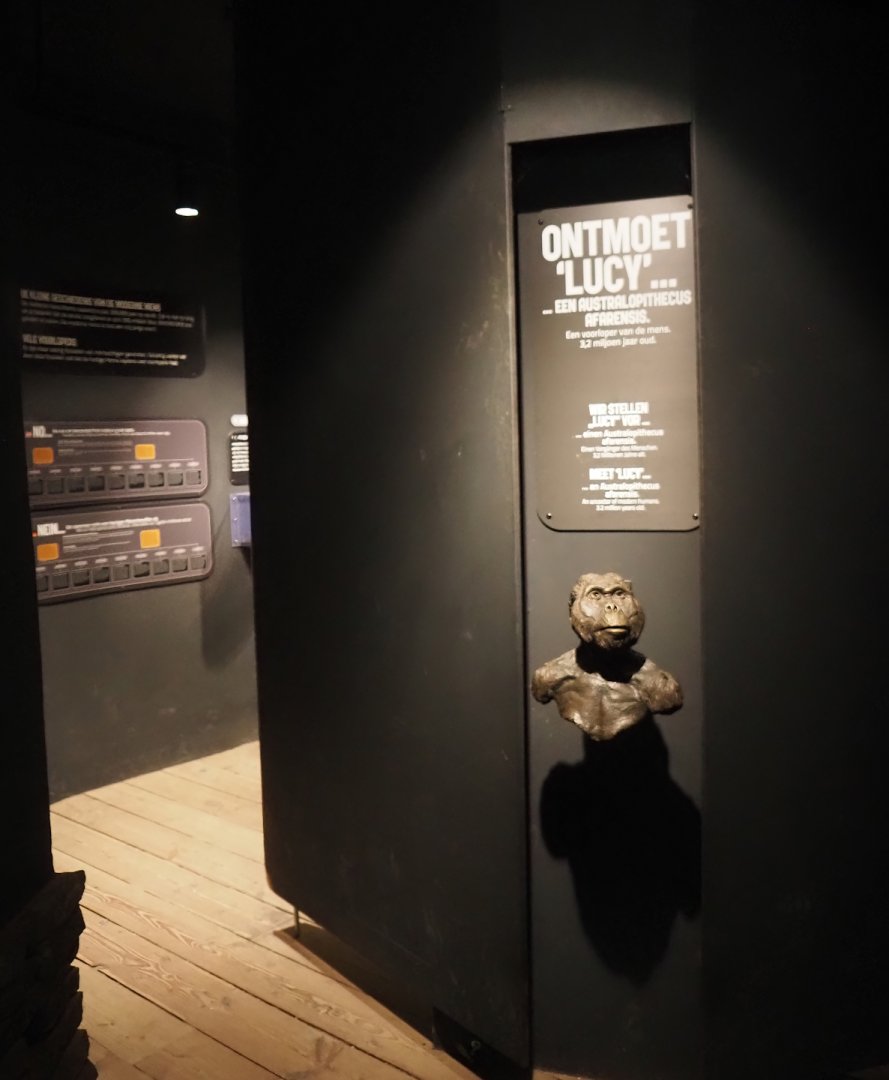Exhibition about hominids in the bonobo building, 2024-08-18