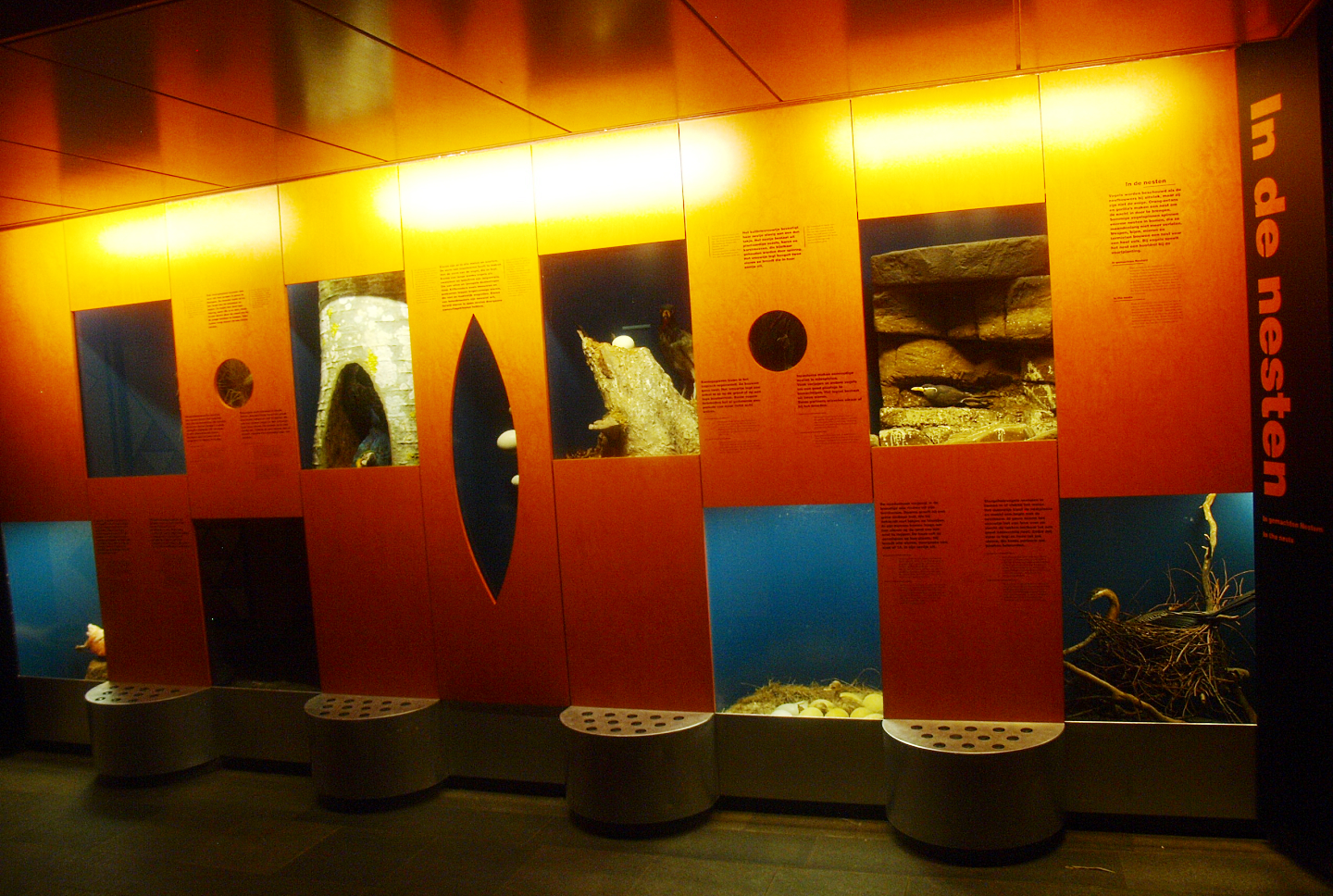 Exhibition in the Americasa - Display on bird nests, 2015-07-19