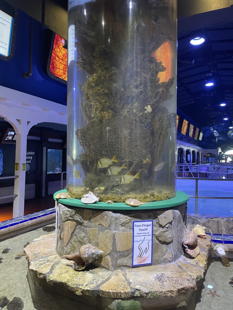 Exhibits at entrance (1/2/24)