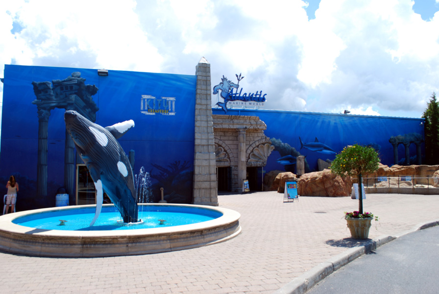 Exhibits at the Aquarium