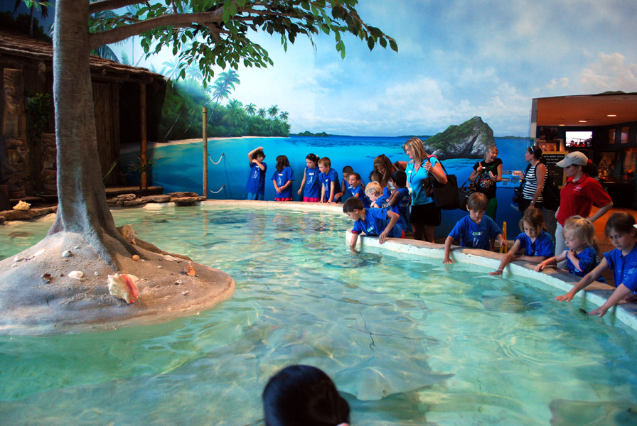 Exhibits at the Aquarium