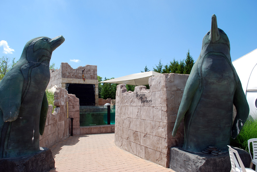 Exhibits at the Aquarium
