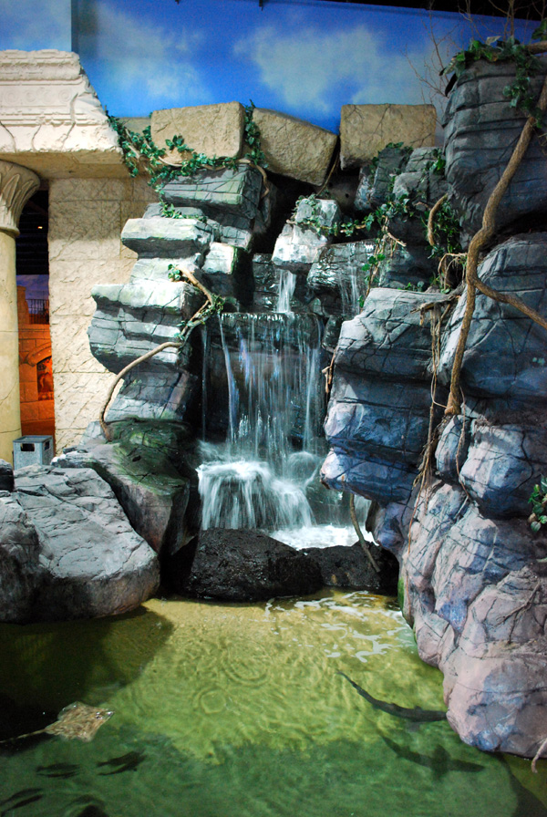 Exhibits at the Aquarium