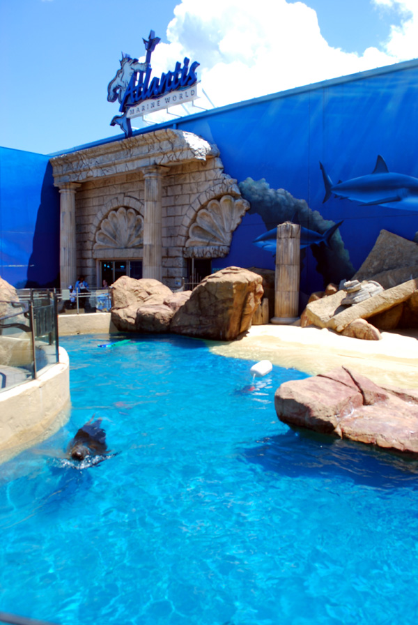 Exhibits at the Aquarium