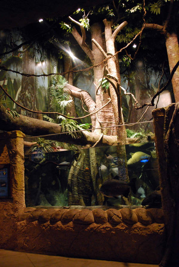 Exhibits at the Aquarium