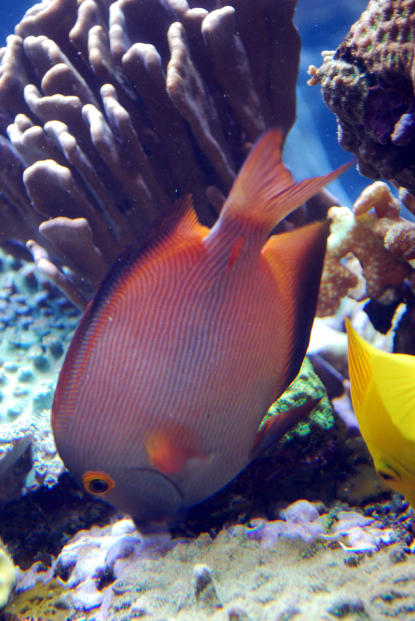 Exhibits at the Aquarium