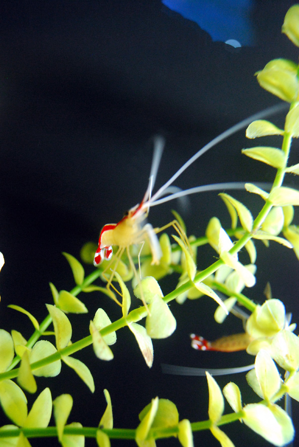 Exhibits at the Aquarium