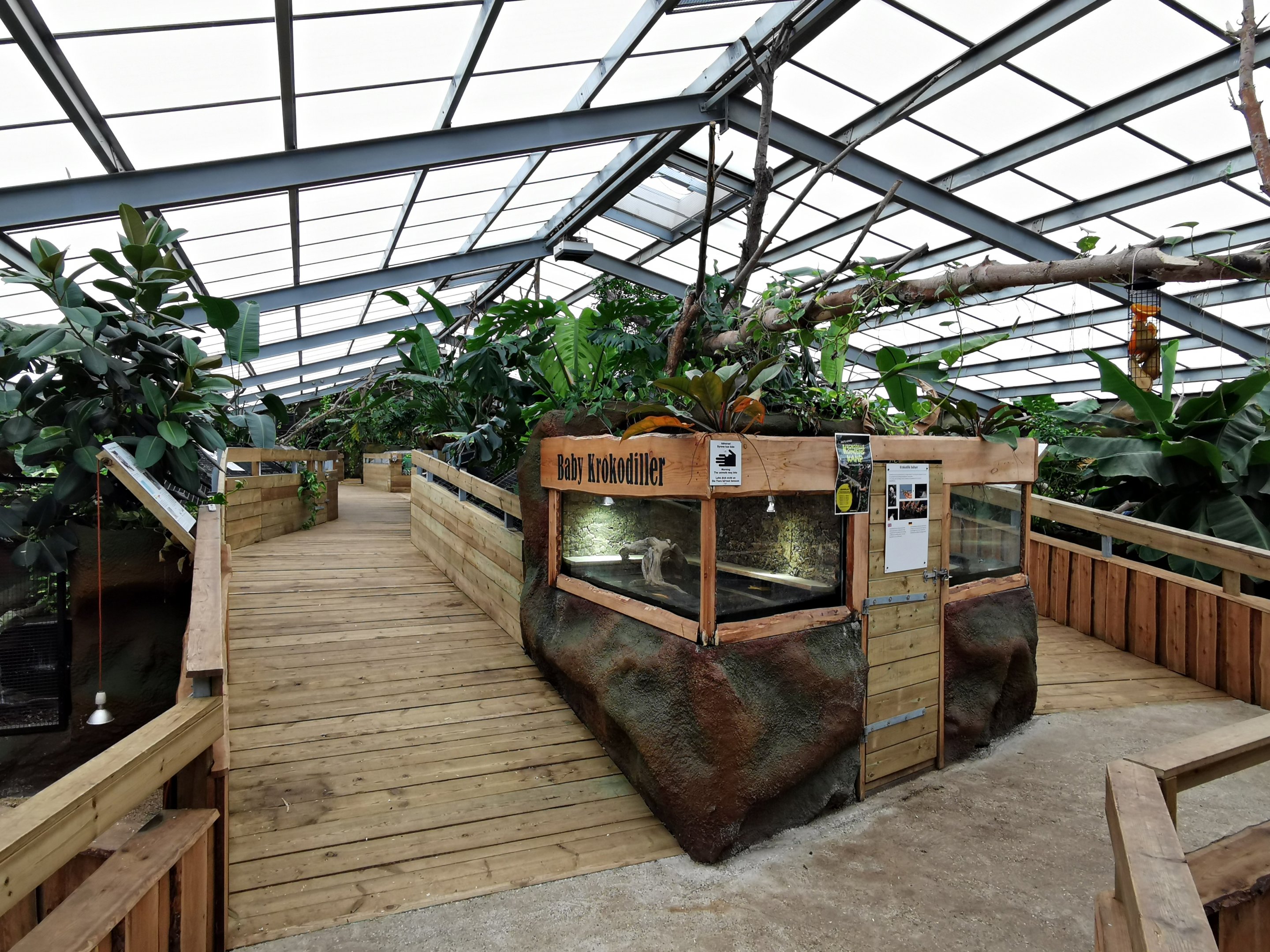 Exhibits for baby Crocodilia - Masaguaral hall