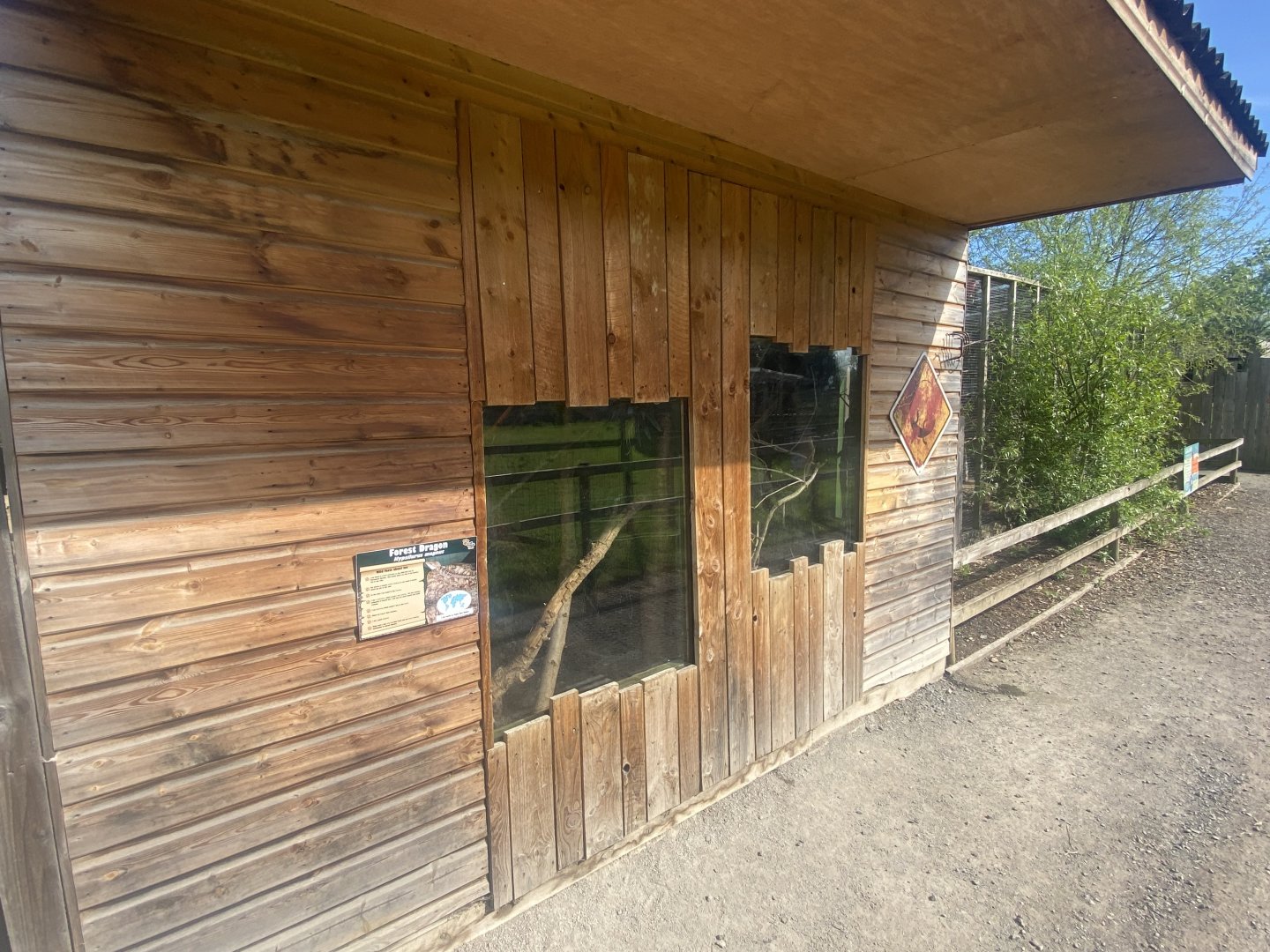 Exhibits for Boyd’s forest dragon 280425