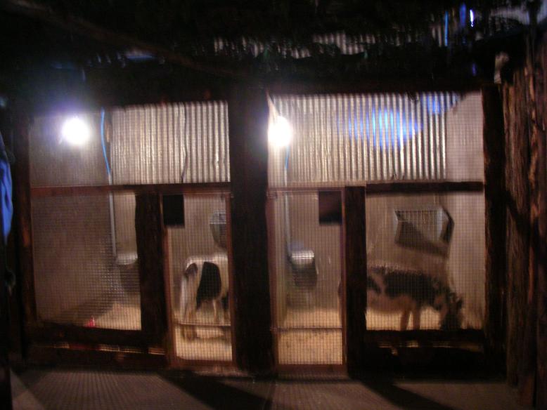 Exhibits for Donkey and Pony, Land of Little Animals, Omagh.