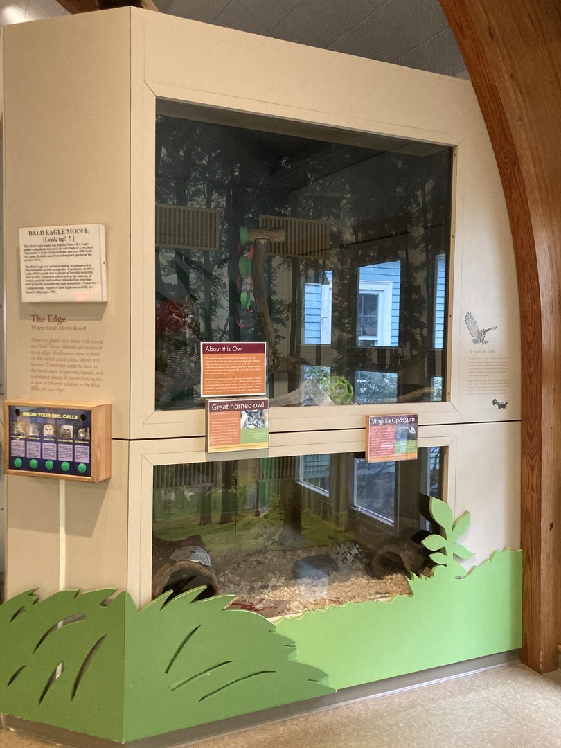 Exhibits for Great Horned Owl and Virginia Opossum