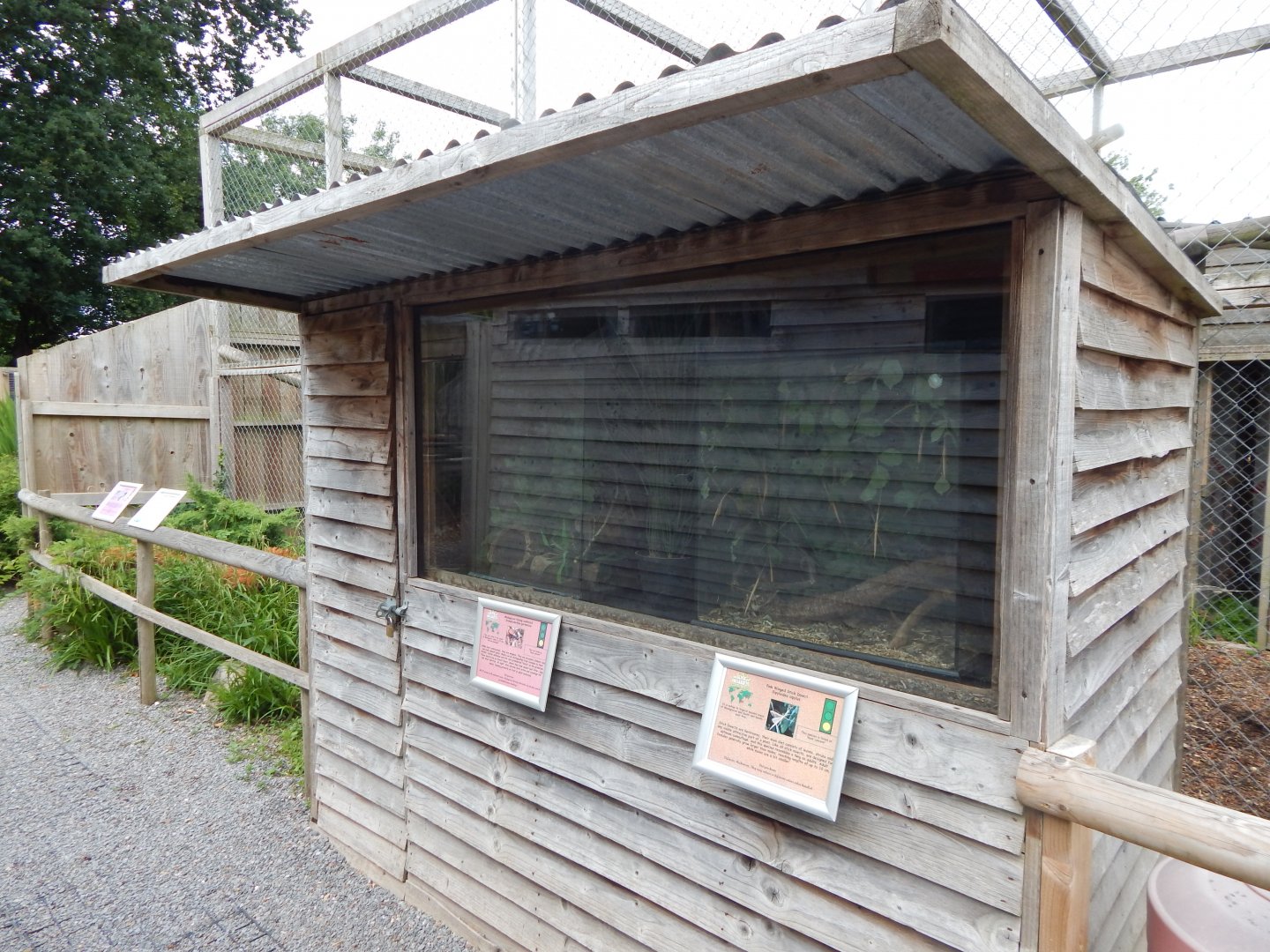 Exhibits for Madagascan hissing cockroach and Pink-winged stick insect 060625