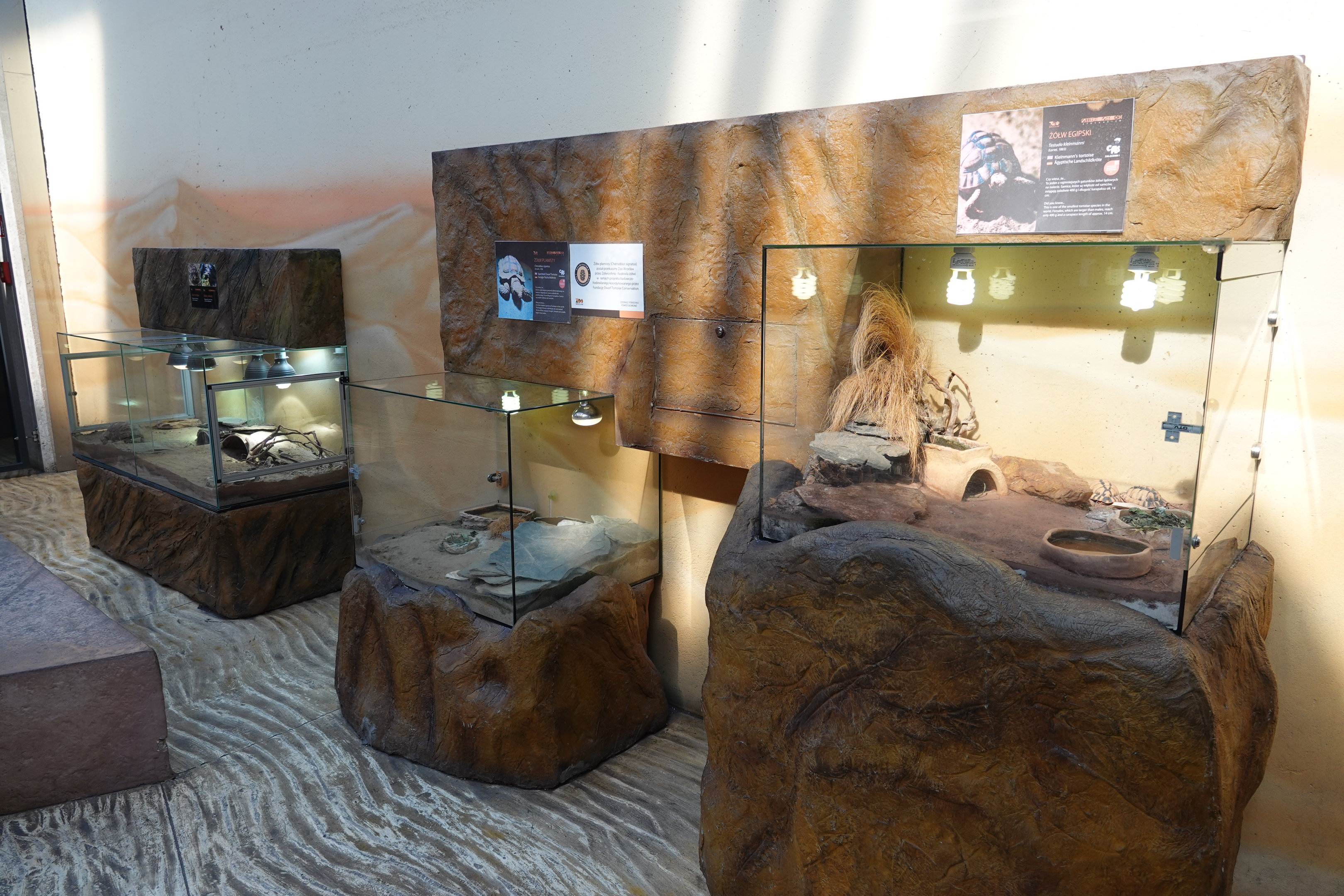 Exhibits for smaller tortoise species in the Afrykarium foyer