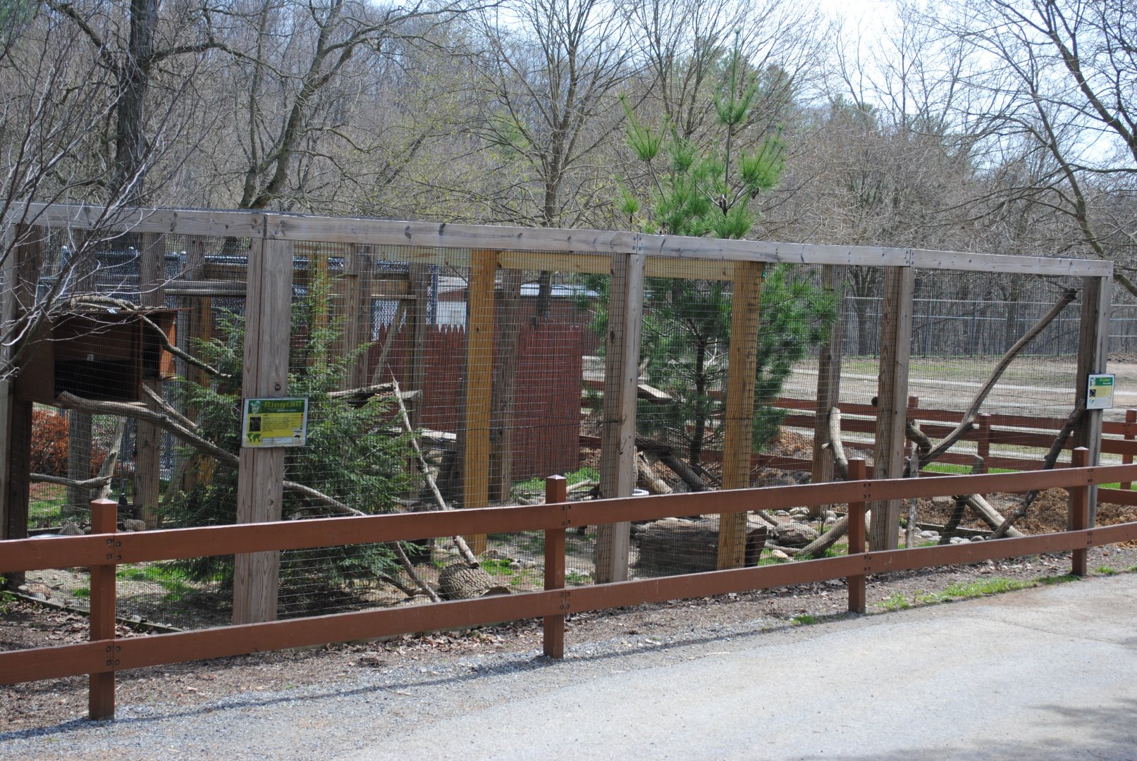Exhibits for Striped Skunk/Ringtail and Fisher