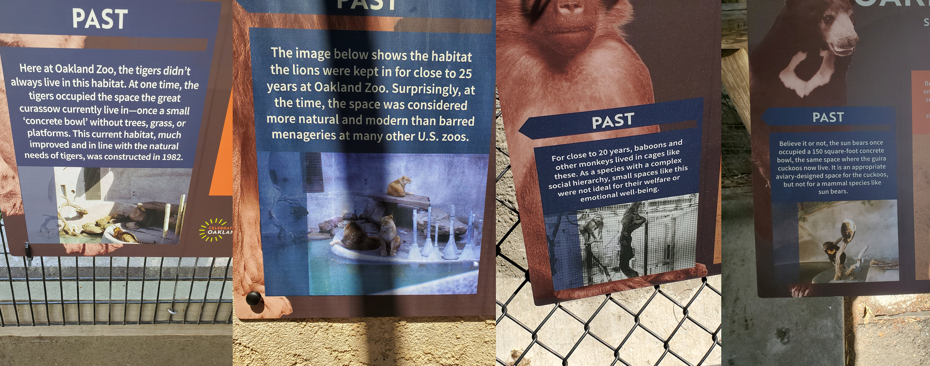 Exhibits from the past - 10 Jun 2022